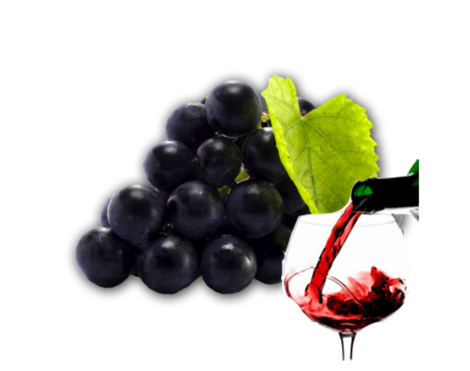 Grapes and wine prices