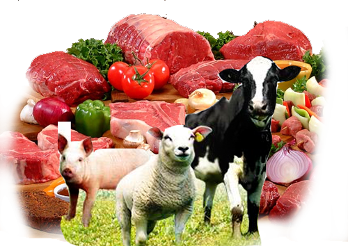 Цени на жив добиток и месо